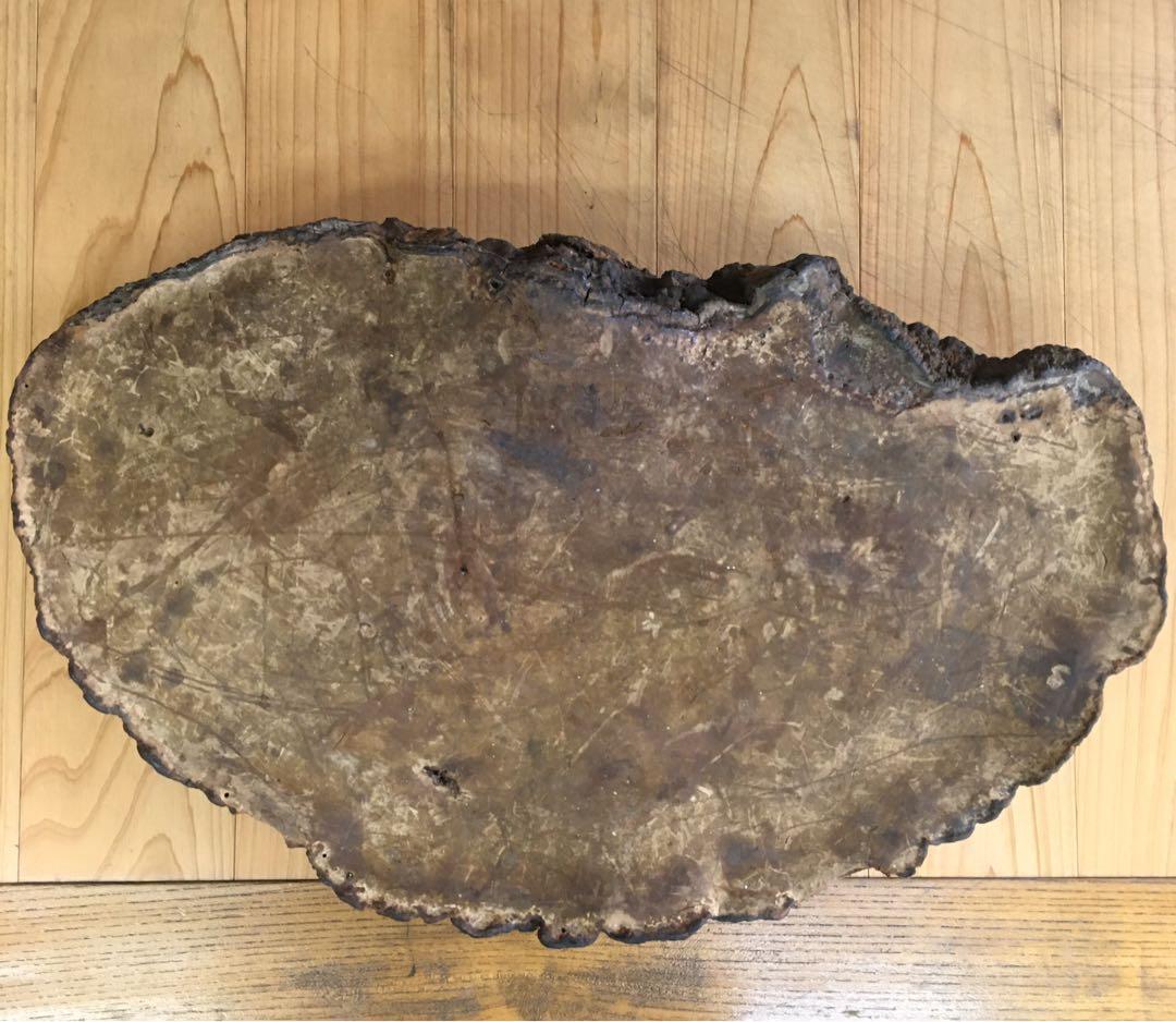 サルノコシカケ　アンティーク