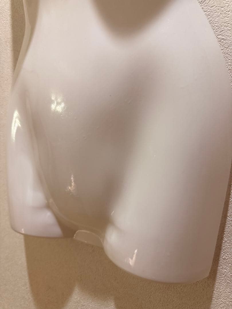 女性用ボディマネキン ホワイト24個セット