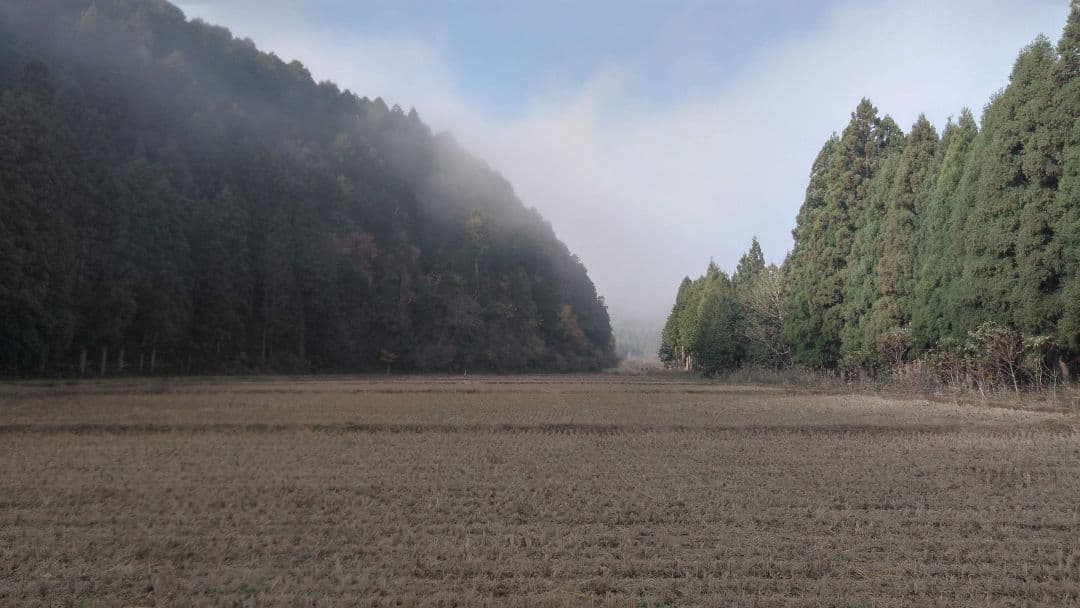 PJ出品　【米粉 6.3kg = 900g✕7個】