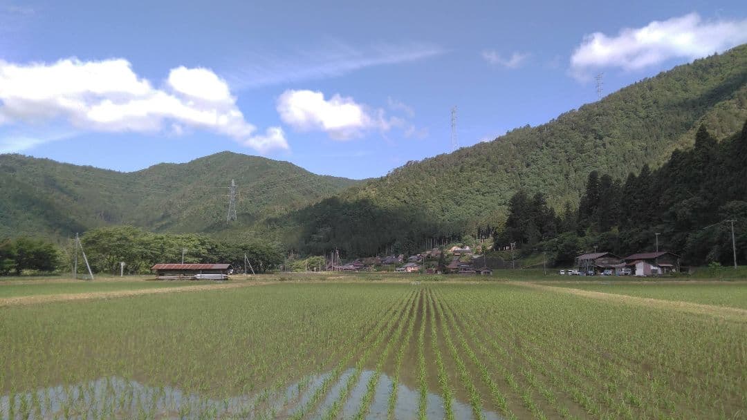 PJ出品　【米粉 6.3kg = 900g✕7個】