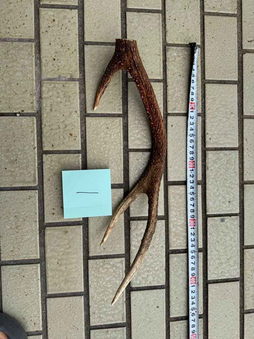 れのあ❥即購入OK❥値下NG←値下コメ❌　