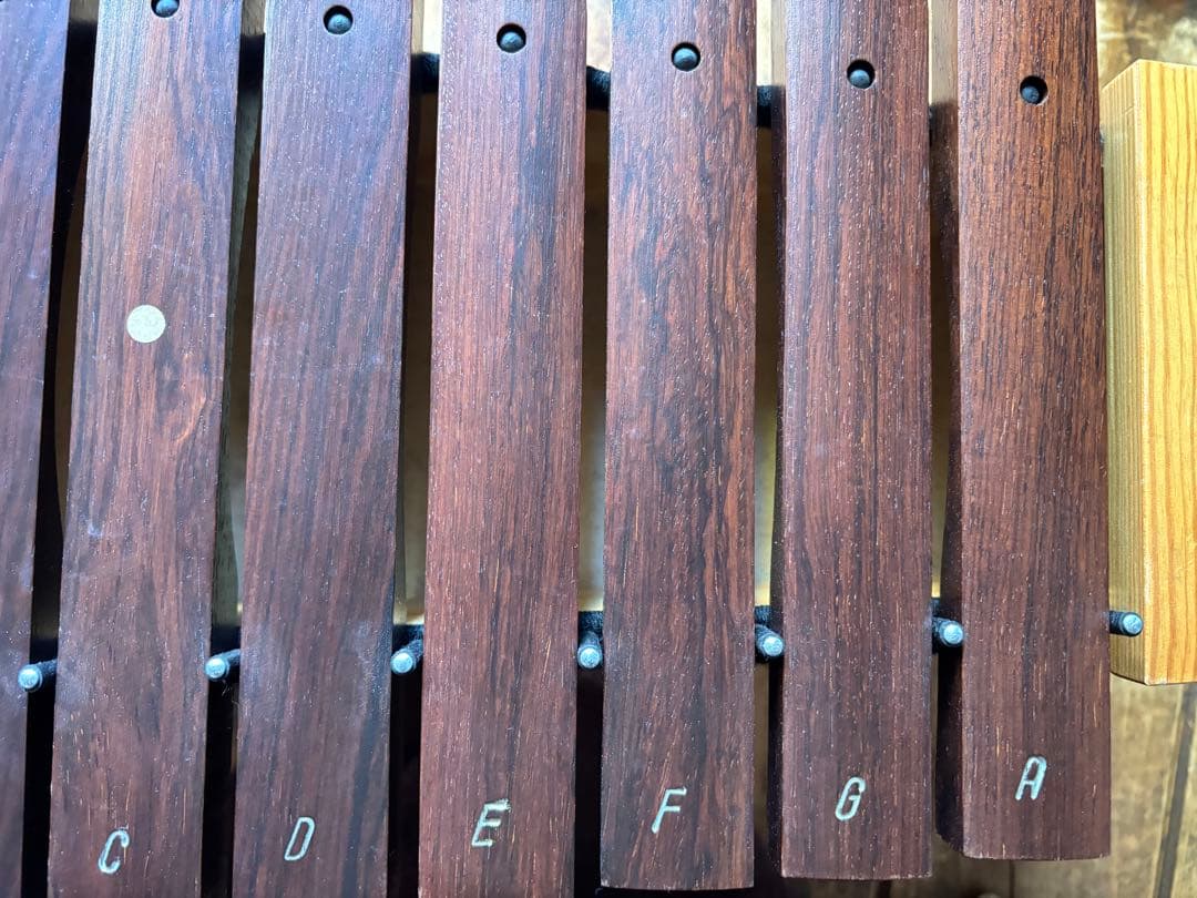 STUDIO49 AX2000 木製アルトシロフォン　diatonic