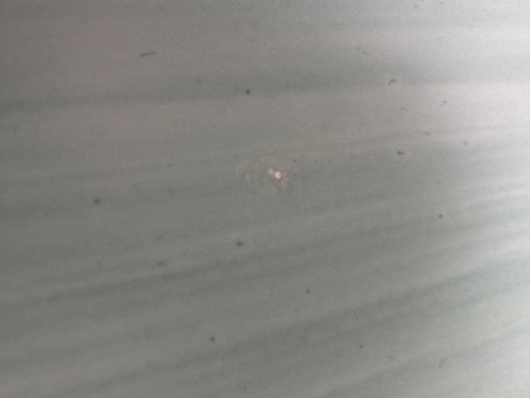 サーフボード ミッドレングス