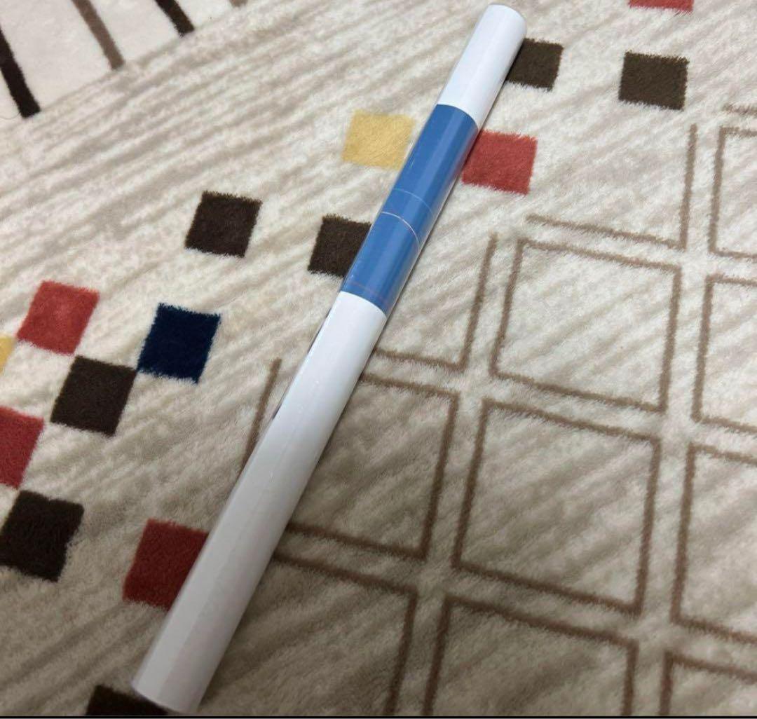 バンドリ MyGO!!!!! 迷星叫 購入特典 A3 ポスター