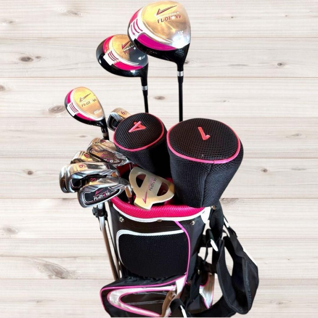 【おまけ付】ワールドイーグル FL-01 V2 10本セット クラブ ゴルフ