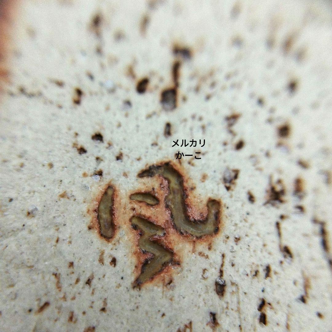 森風来　筍　皿　小皿　備前焼