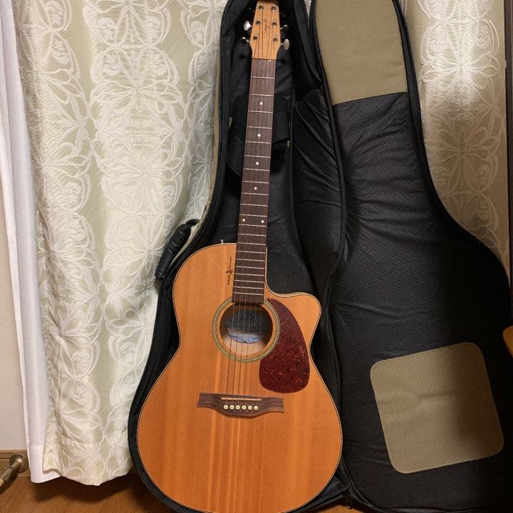 エレアコ　ギター seagull Amber Trail シーガル