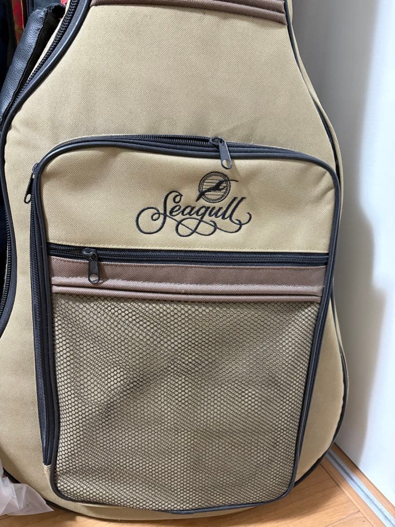 エレアコ　ギター seagull Amber Trail シーガル