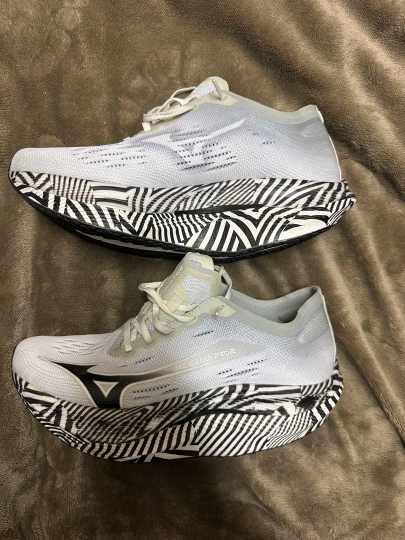 Mizuno Wave Rebellion Pro2 プロトタイプ