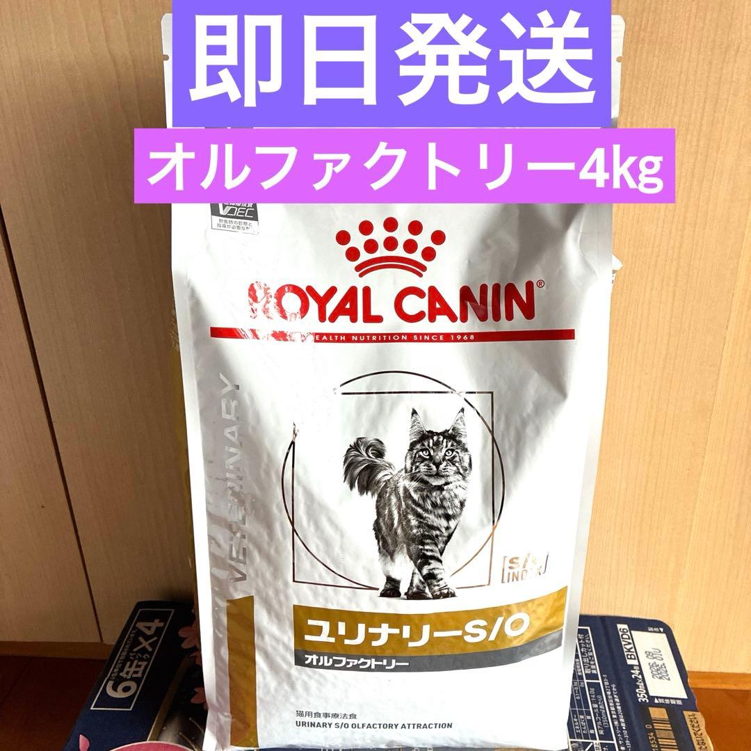  CANIN ユリナリー-S/O 猫用 療法食