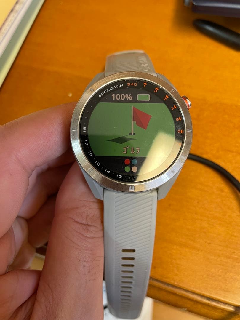 GARMIN(ガーミン) ゴルフナビ GPS Approach S40 グレー