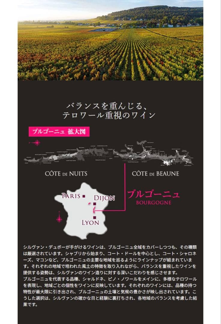 クレマン ド ブルゴーニュ シルヴァン デュボー スパークリングワイン