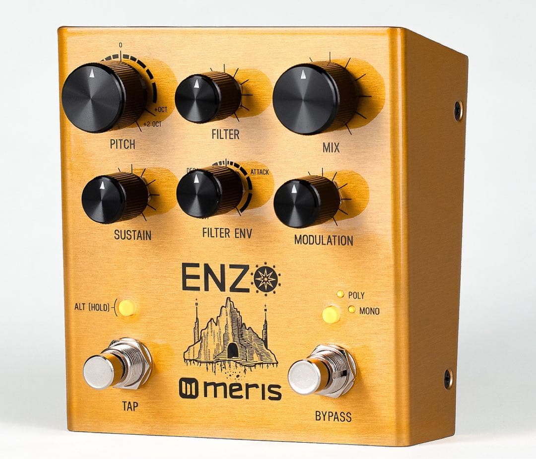 【美品】 MERIS ENZO エフェクター