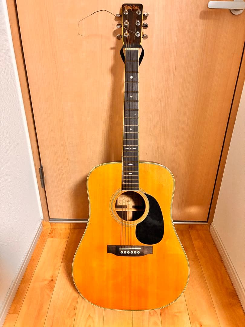 ギター Cat's Eyes CE-600