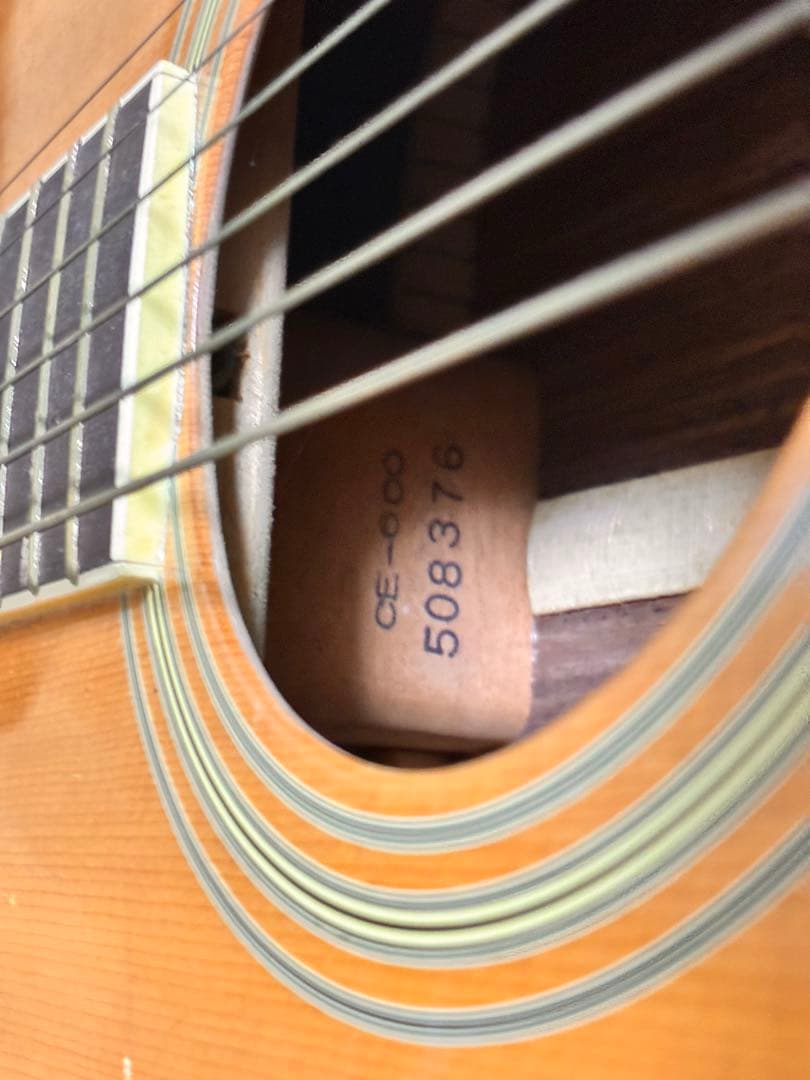 ギター Cat's Eyes CE-600