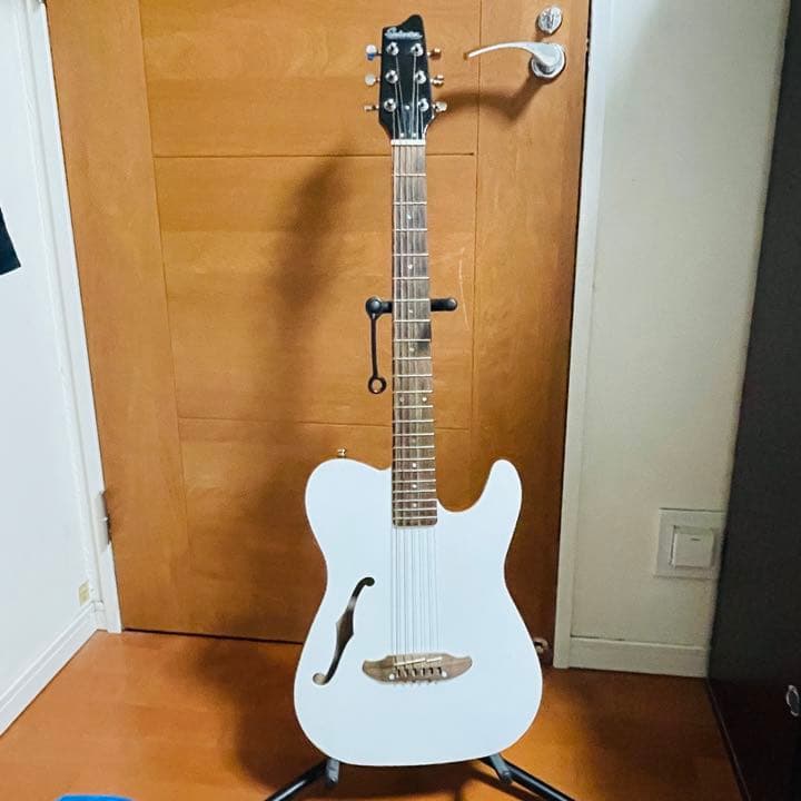 シェクター、Schecter　オリエンタルラインOL-FL/WHT　エレアコ