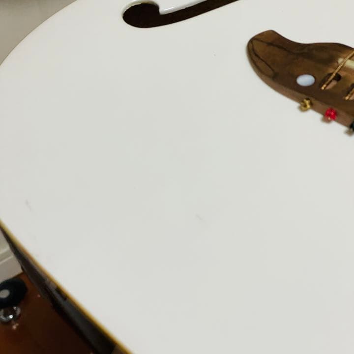 シェクター、Schecter　オリエンタルラインOL-FL/WHT　エレアコ