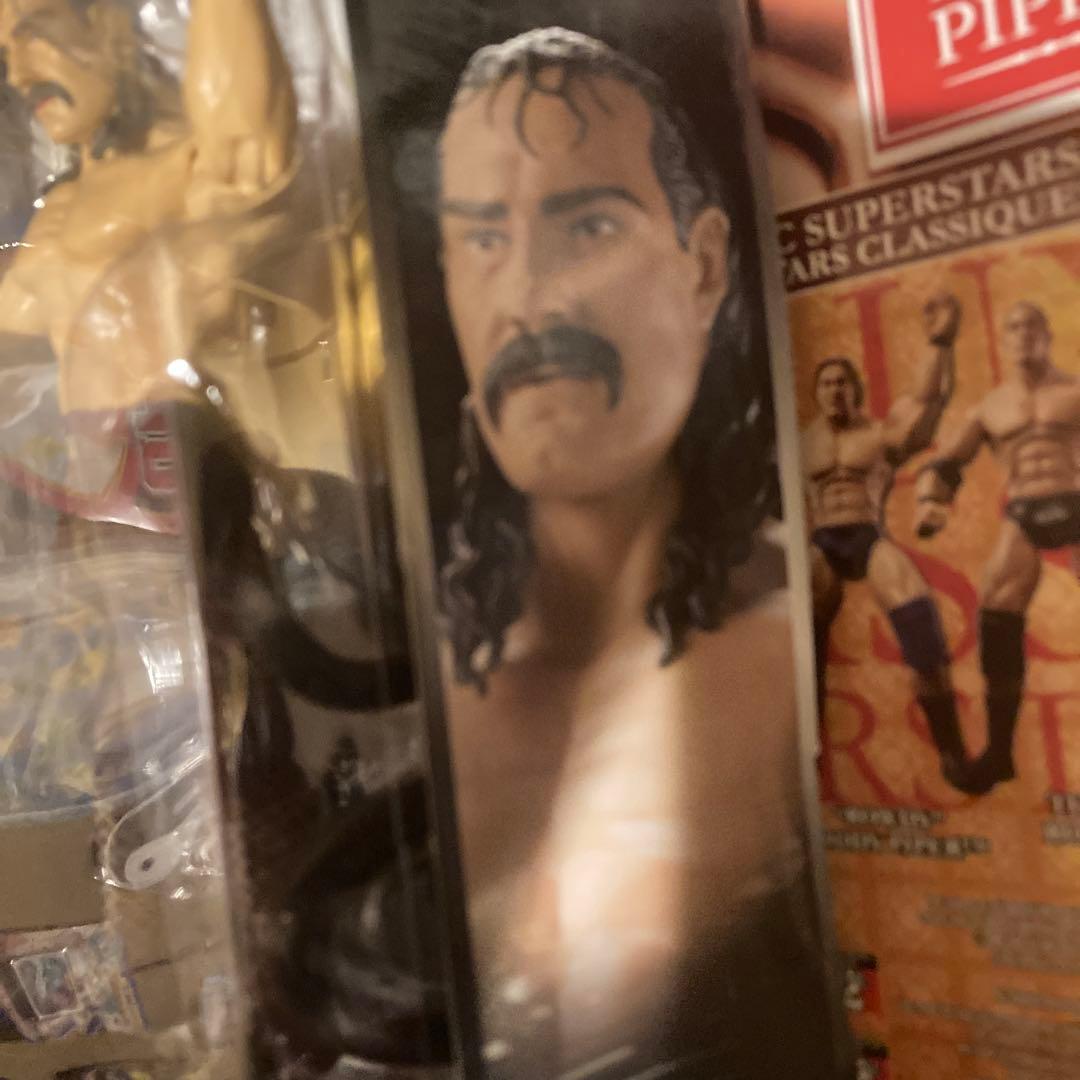 ジェイク・ザ・スネーク・ロバーツ　WWEクラシックスーパースター