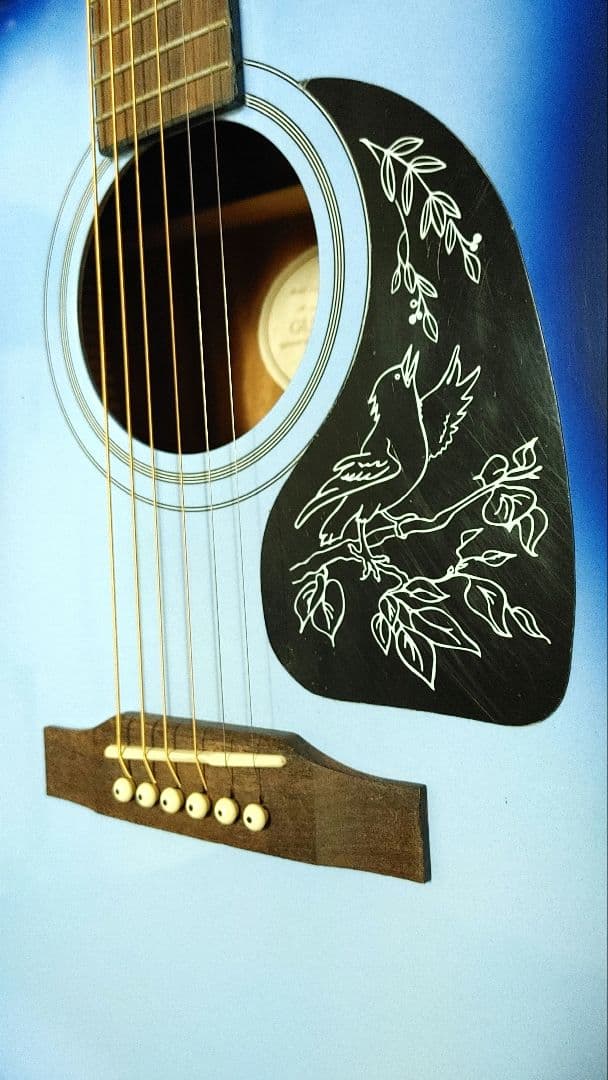 エピフォン　アコースティックギター　専用ソフトケース付