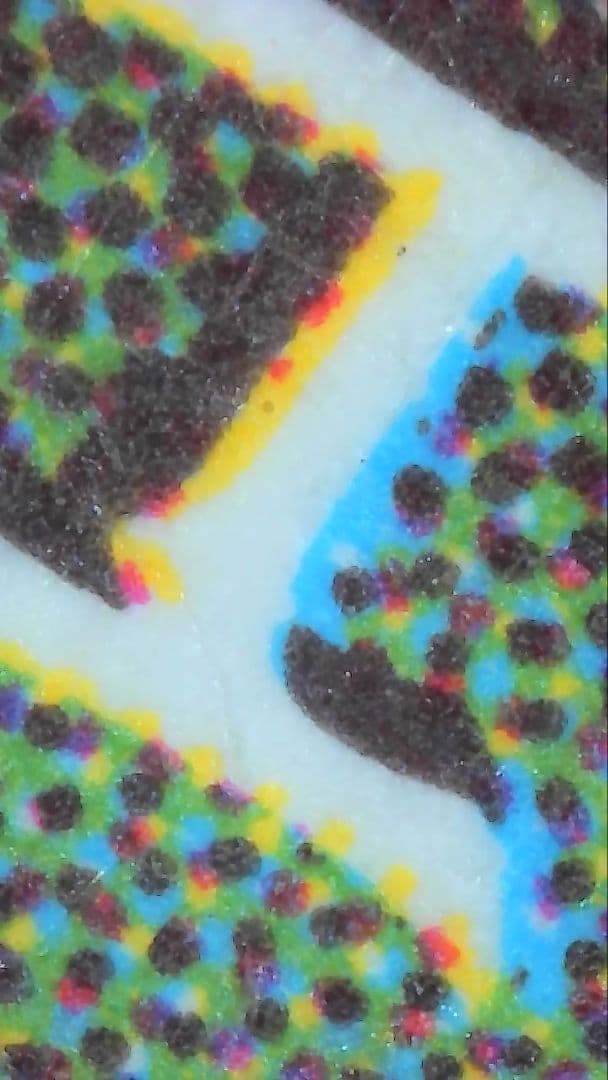 適者生存/Survival of the Fittest、EXO、日本語、１枚