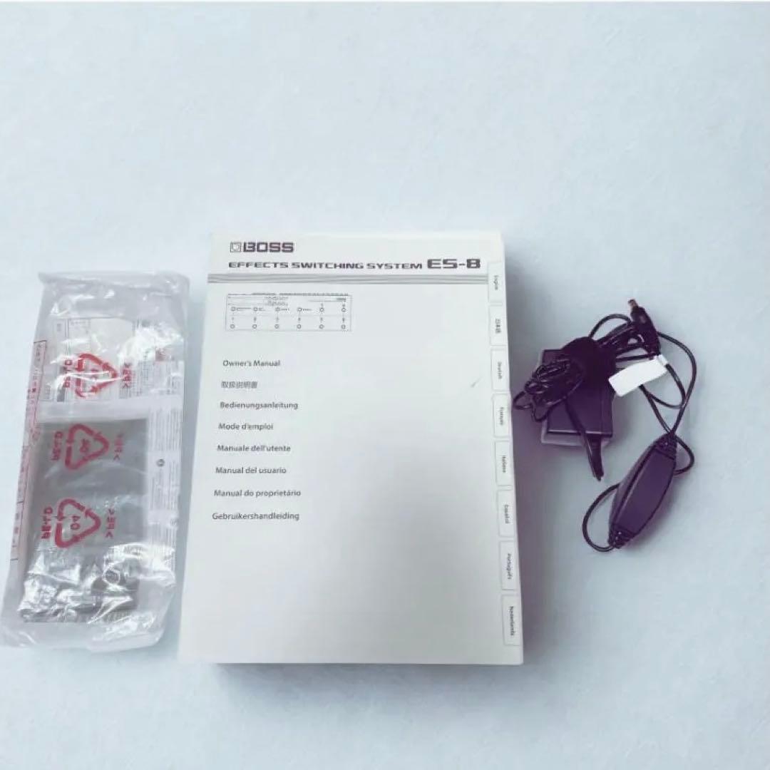 ギター BOSS ES-8