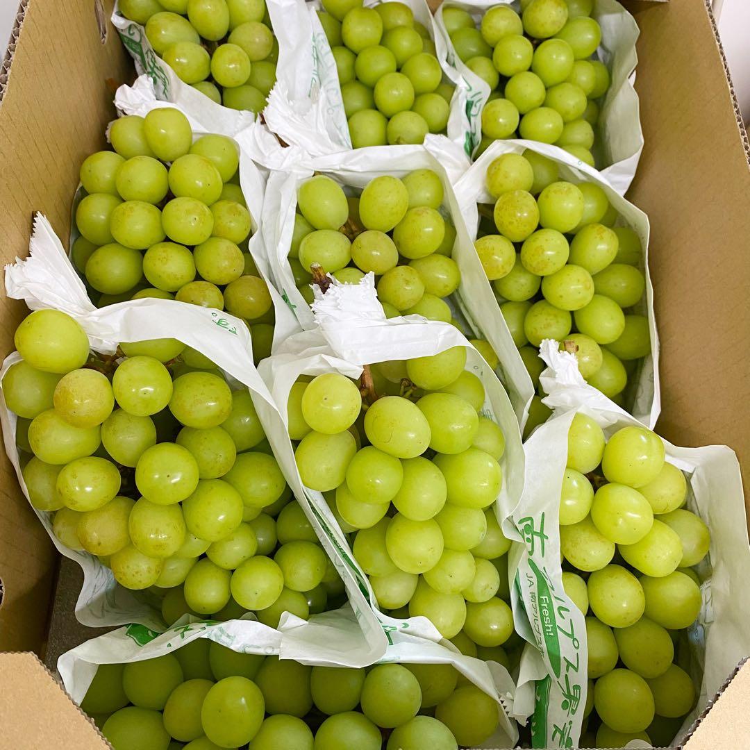 山梨県産　訳あり　家庭用　シャインマスカット　10房　箱込み5.7kg ④