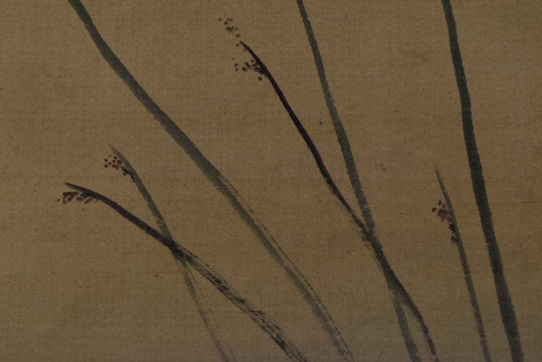 【真作】駒井源琦/河骨に亀図/掛軸☆宝船☆Z-742