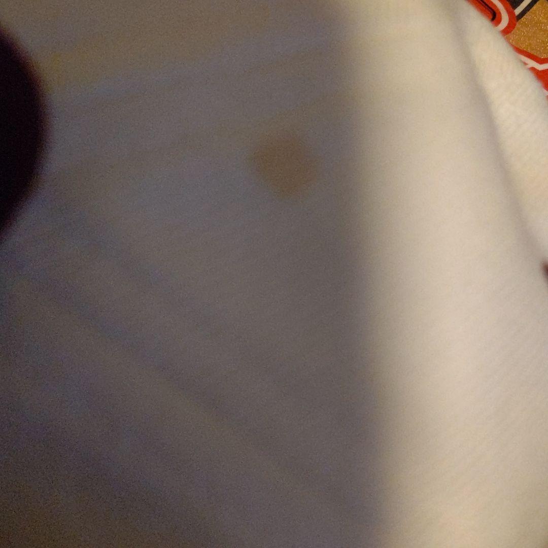 （超激レア）大阪近鉄バファローズ幻Ｔシャツ、超激レアキャップ3点数セット