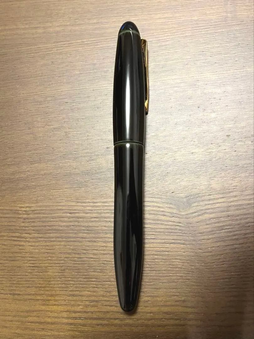 プラチナ万年筆 出雲 空溜 中字 M