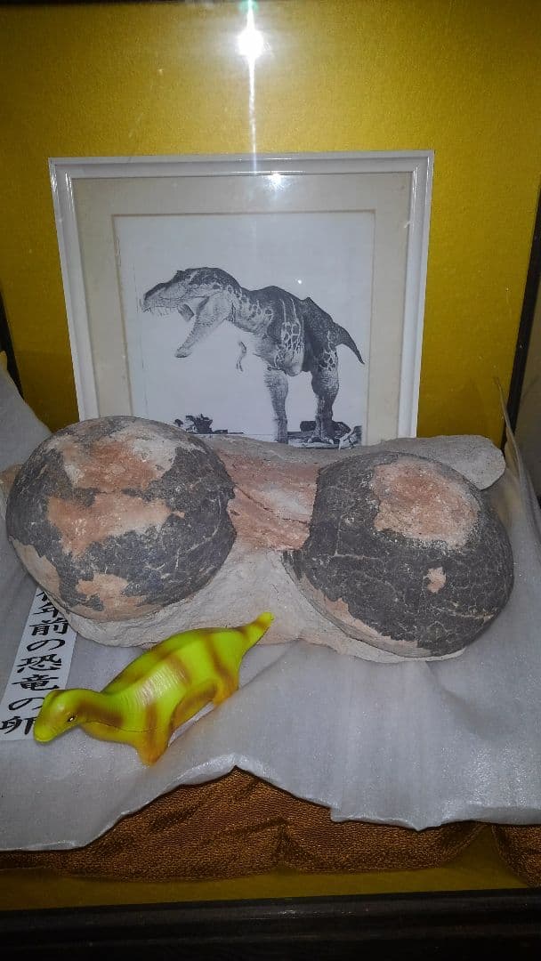 恐竜の卵　1億年前の天然化石