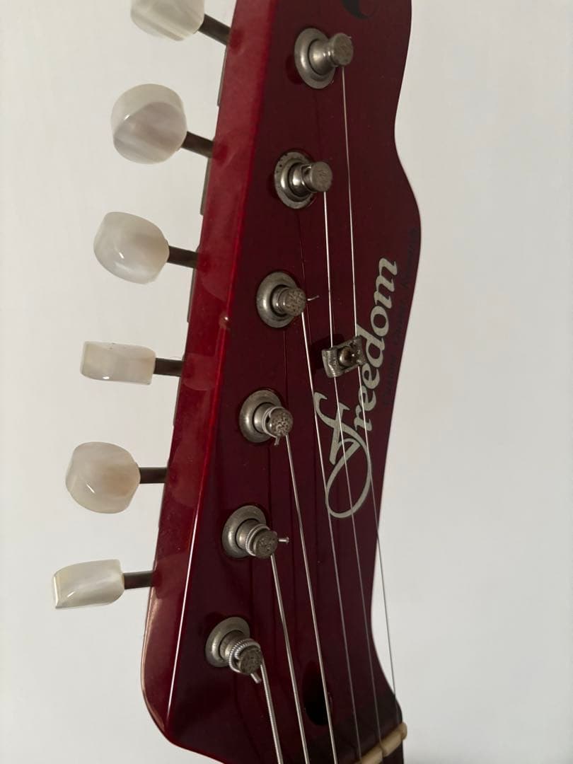 フリーダムカスタムギターリサーチ Green Pepper