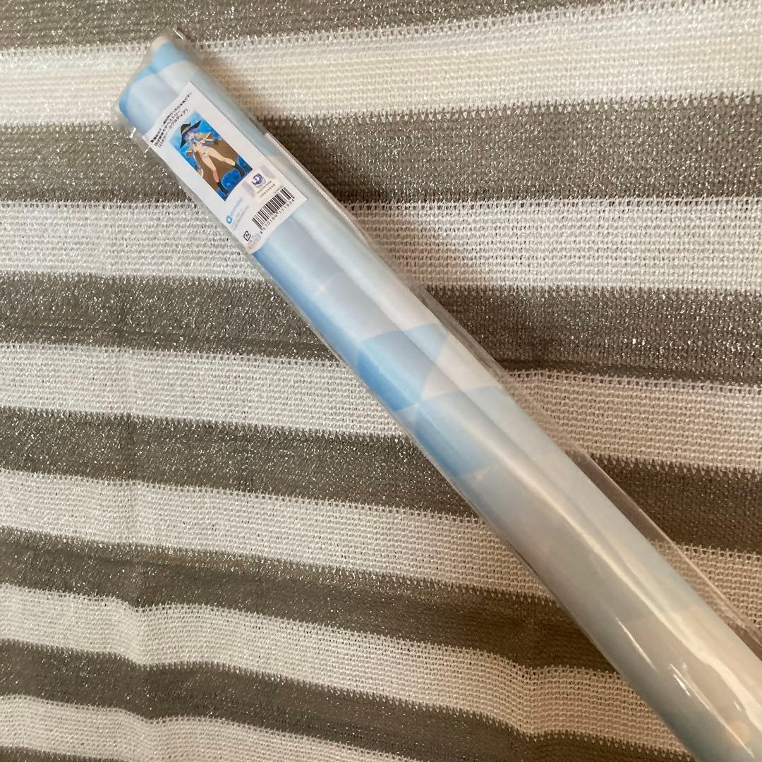 ロキシー・ミグルディア　ほぼ等身大タペストリー　無職転生　アニメ