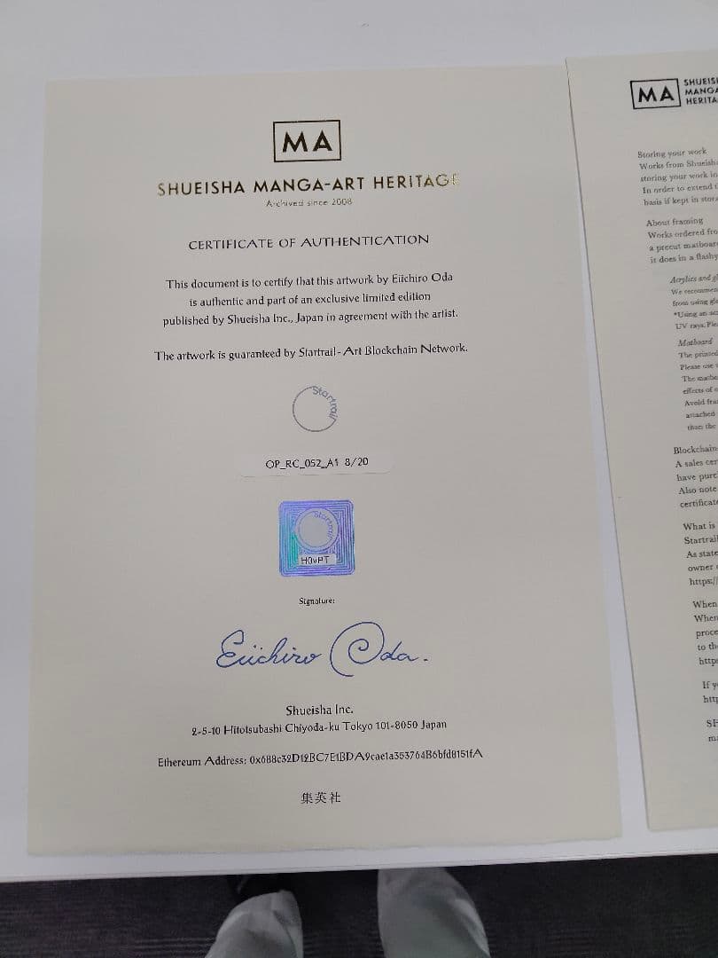 ONE PIECE / Iguana ワンピースアート/イグアナ