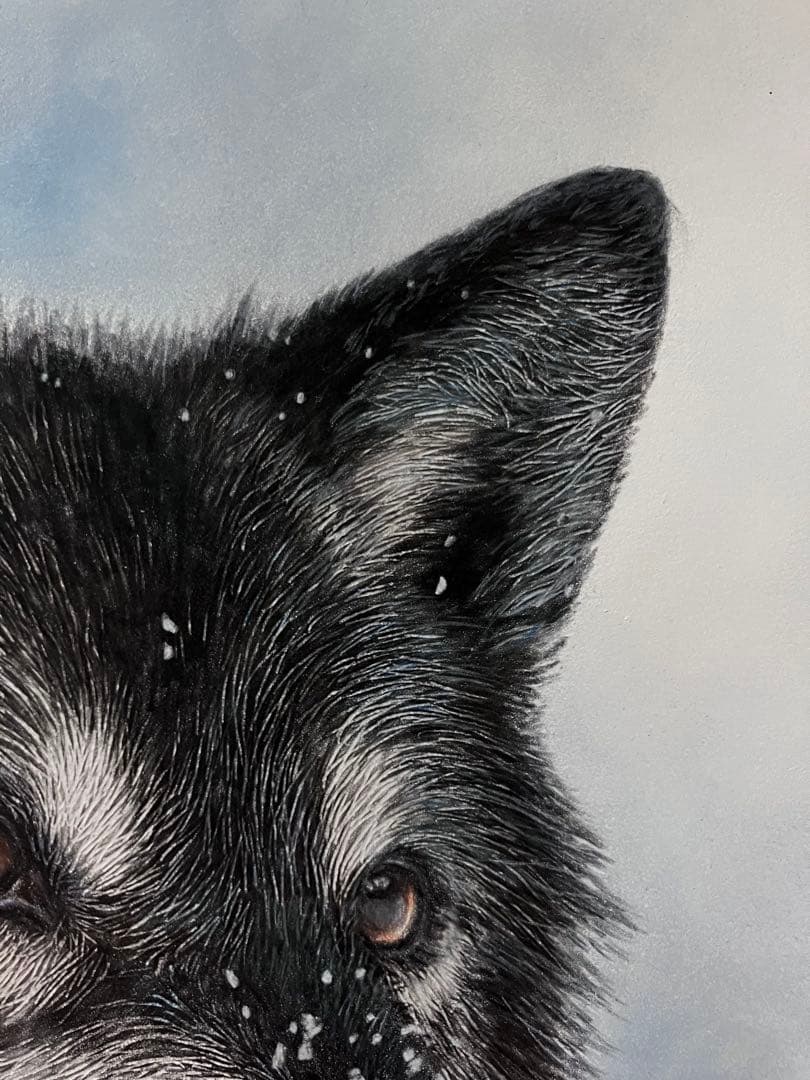 淡雪の狼 色鉛筆画 パステル