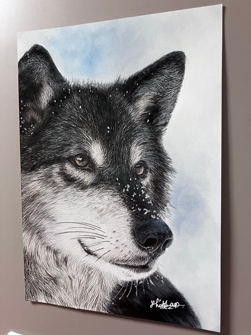 淡雪の狼 色鉛筆画 パステル