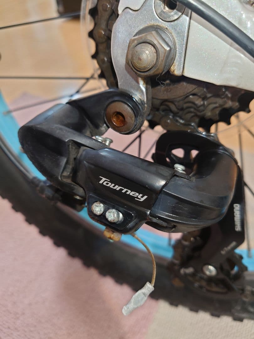 TREKPrecaliber 20インチ(子供用自転車) 身長114-132cm