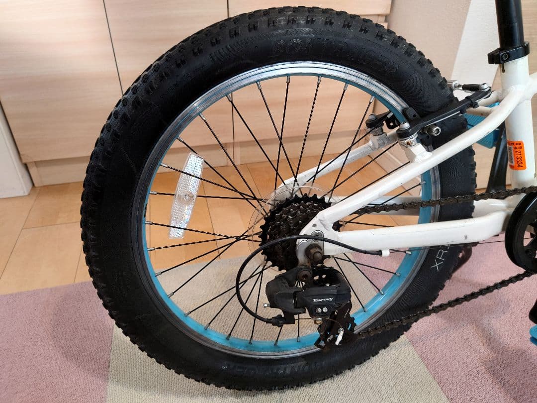 TREKPrecaliber 20インチ(子供用自転車) 身長114-132cm