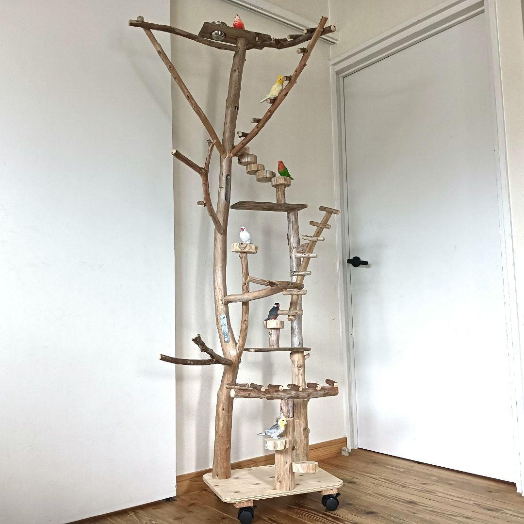 バードアスレチックジム大型 ⑫ 天然木 自然木 流木 インコ おもちゃ