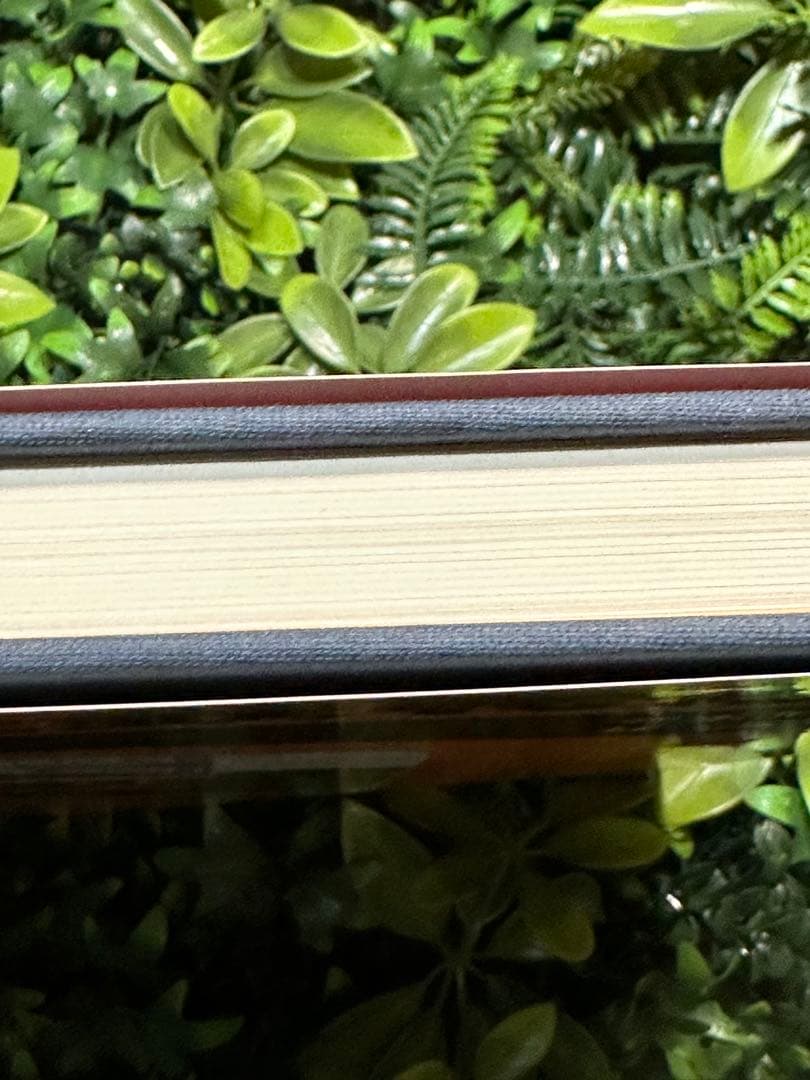 決定版 近鉄特急 寺本光照・林基一 共著 鉄道資料本