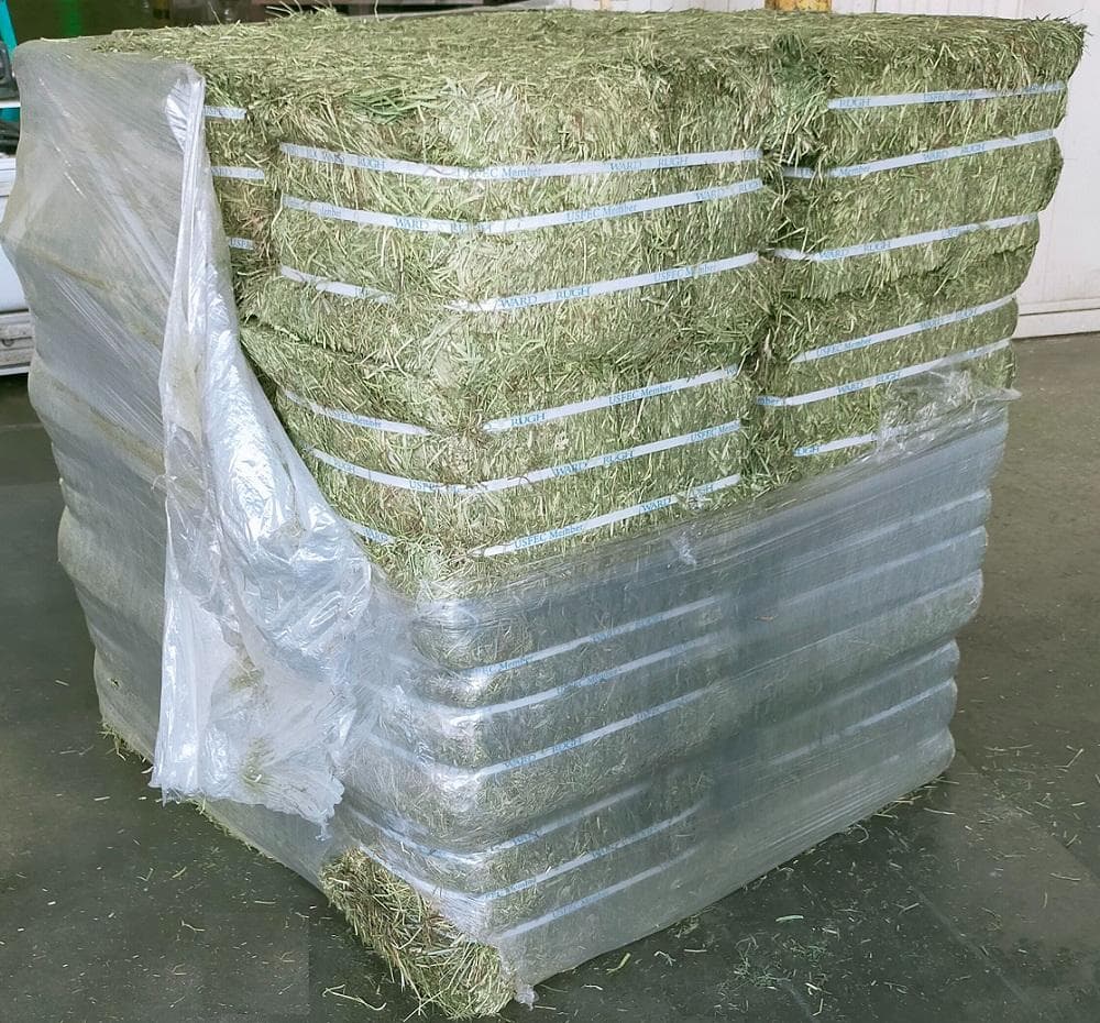 【12/30まで】US産 チモシー 60kg ２番刈 ソフトSプレミアム