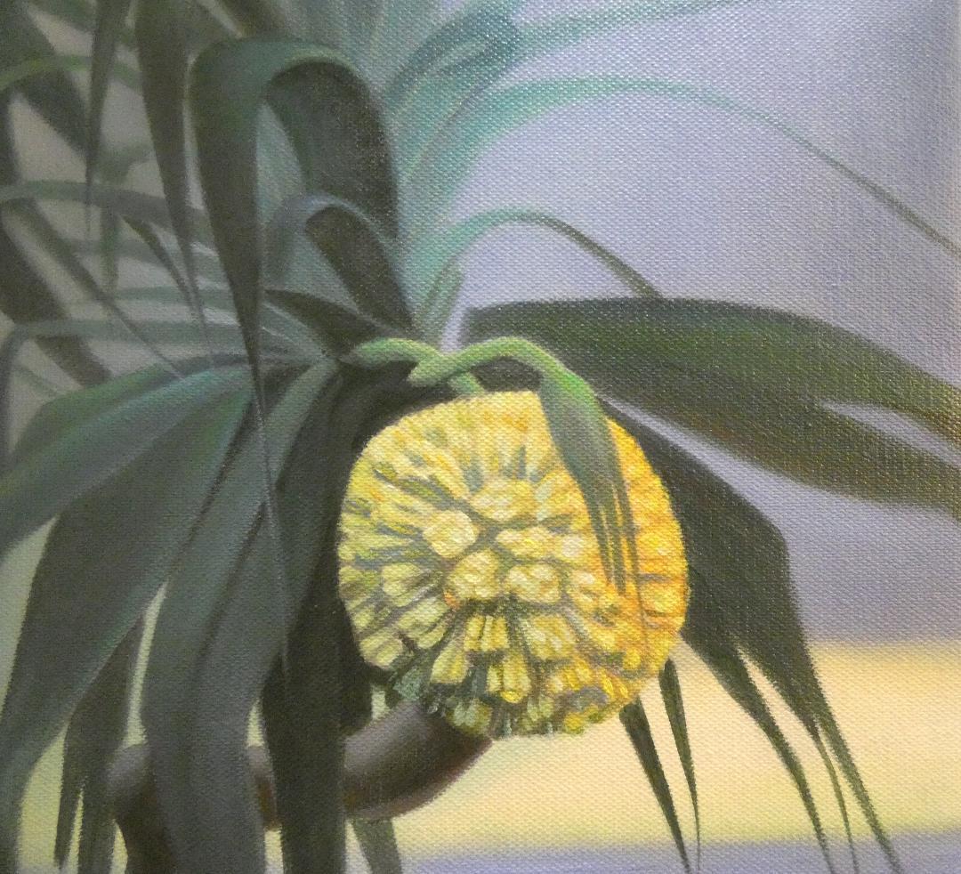 油彩画 田中一村 「 アダンの木」サイン F6 額装済み 肉筆手描き