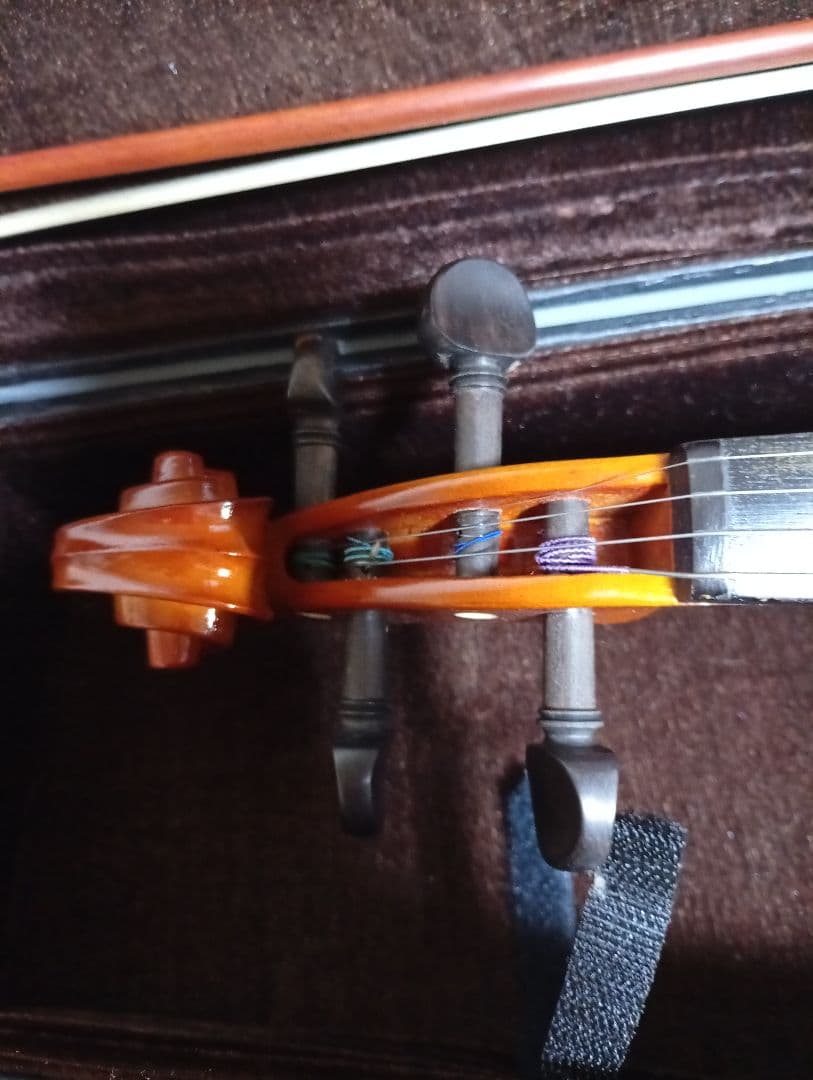 Carlo Giordano バイオリン VS-1 4/4　ケース付き　美品