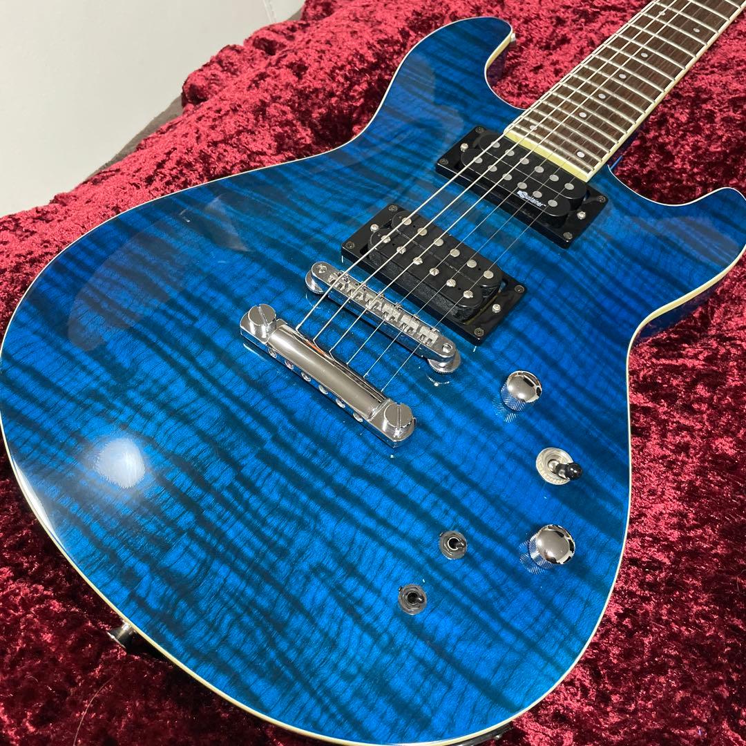 美品　フェルナンデス　APG -55S Blue