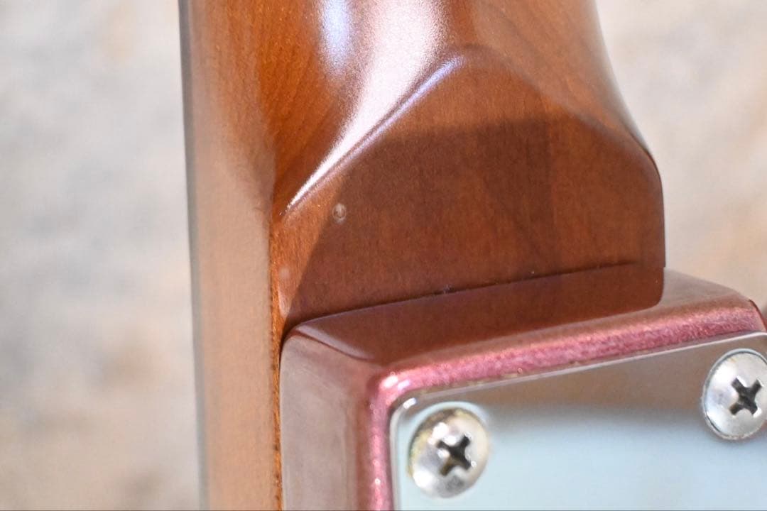 Seed Rutile 真鍋吉明 model the pillows Sago