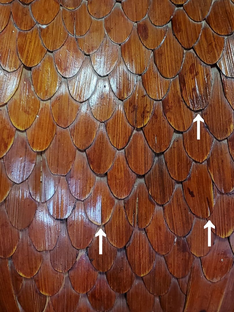 【超絶技巧】骨格や筋肉までも見事に再現『竹根に佇む竹製のオジロワシ』高さ50cm