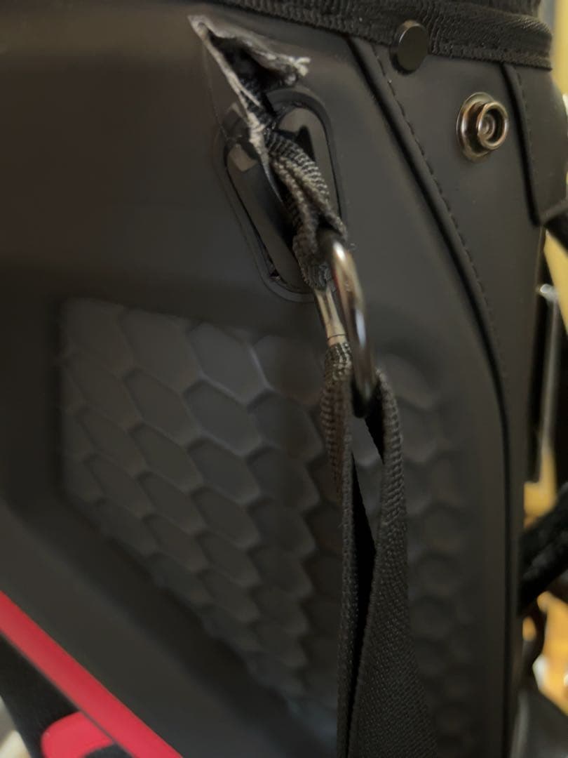 【限定品】 テーラーメイドグローバルツアー スタンドバッグ 「TD323」