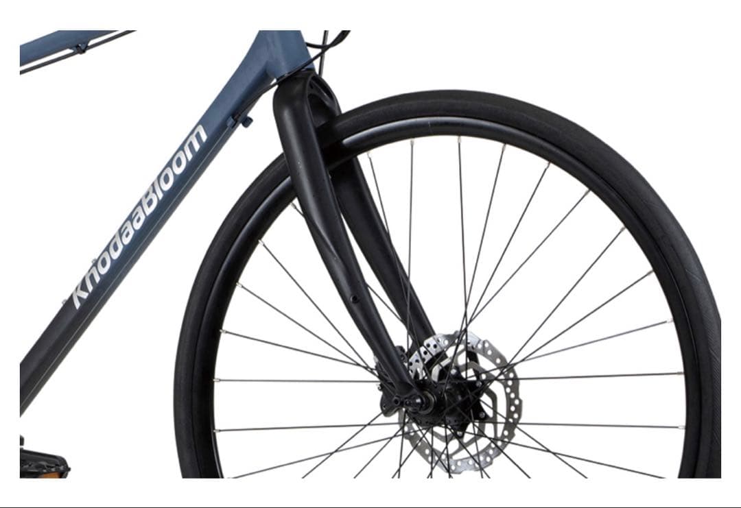 【美品】コーダーブルーム RAIL DISC GRX（480サイズ）