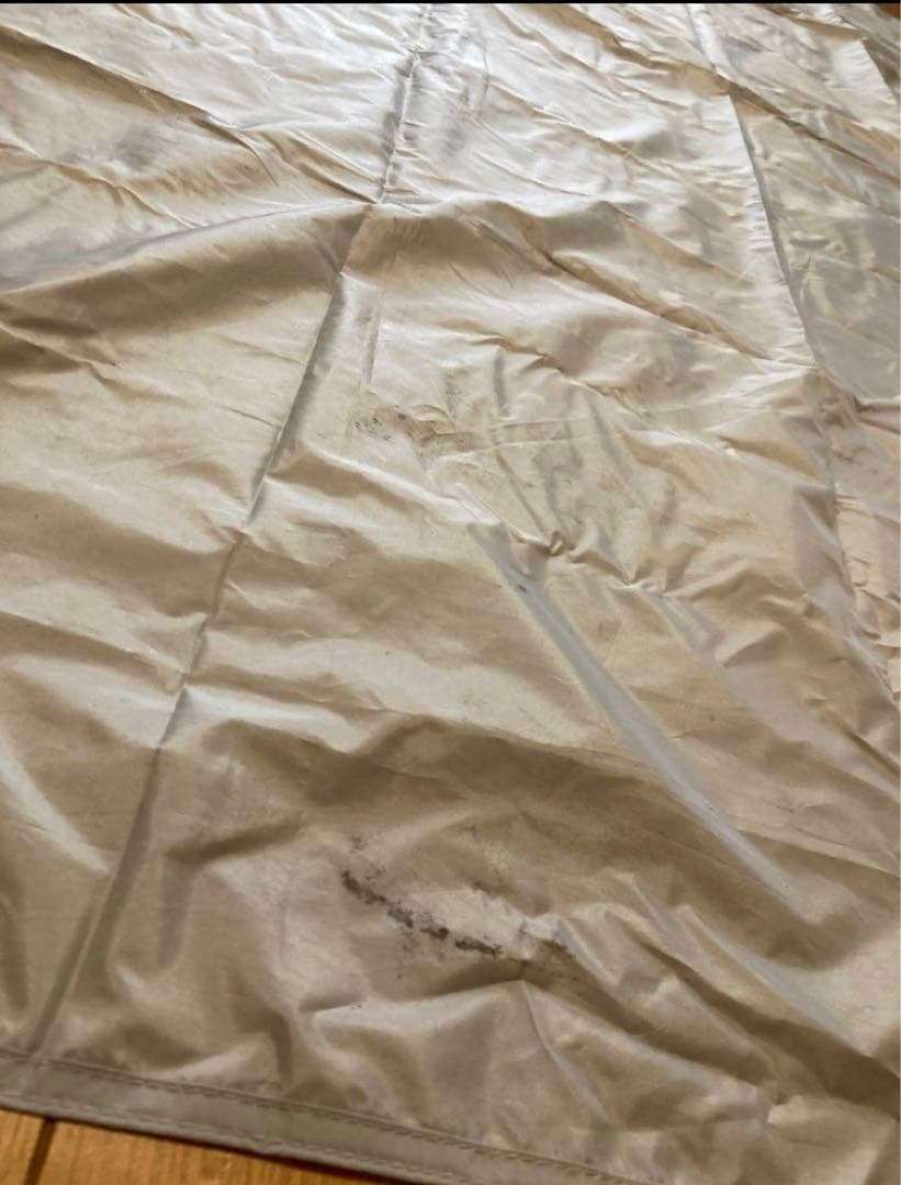 テンゲルスタンダード　ヤマブキ