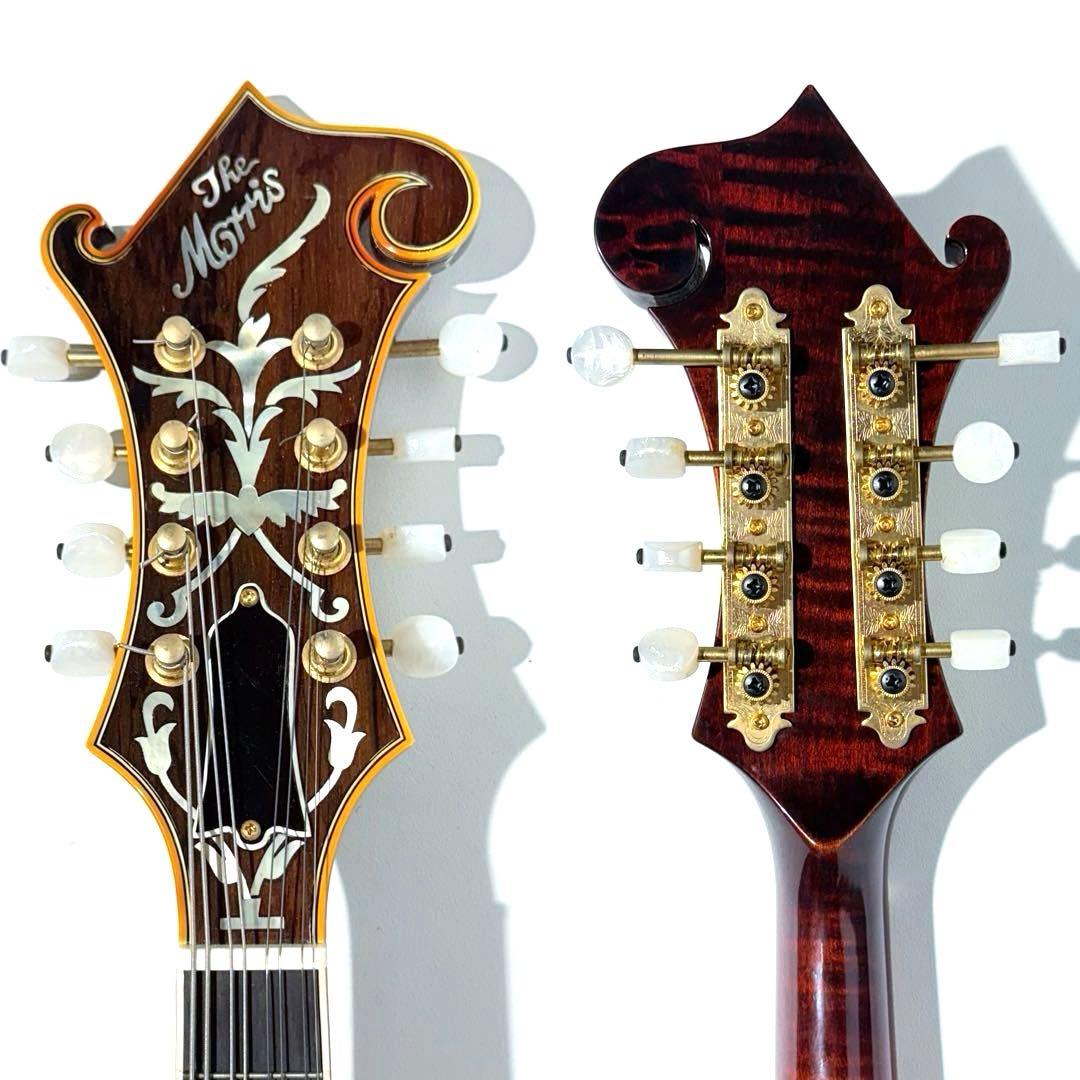 【希少】Morris MF-2000 マンドリン モーリス