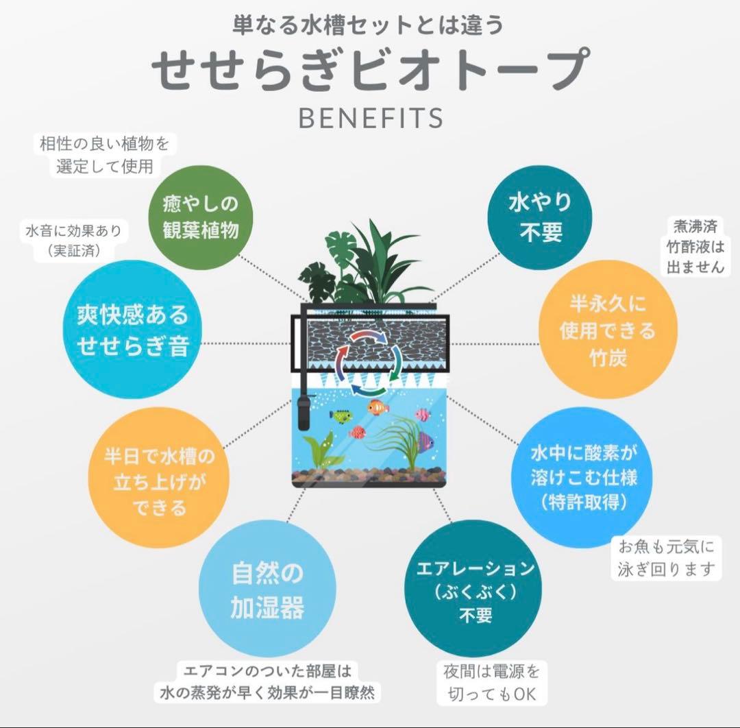 水槽　せせらぎビオトープ　20cm